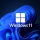 Tips Windows 11