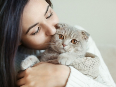 Relaciones entre gatos y dueños